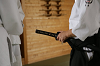 rthk aikido16_thumb.png